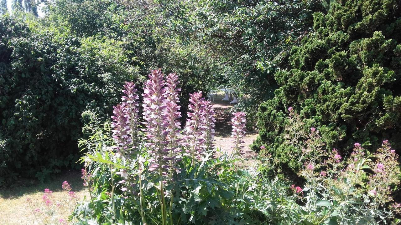 Chambres Du Jardin Fleuri Saint-Aubin-lès-Elbeuf Exterior foto